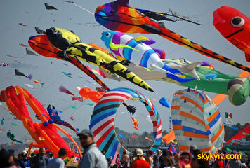 Международный фестиваль воздушных змеев 2019 Международный фестиваль воздушных змеев 2019